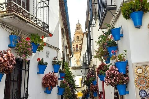 Private tour in Cordoba w/ hotel or shore pickup at Costa del Sol