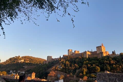 Granada Essential : Private Tour Albaicín and Centro + Oil Tasting