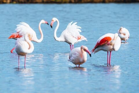 Hiking in s'Albufera des Grau Natural Park