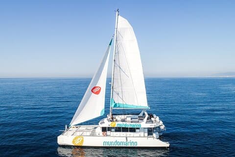 Sunset or night catamaran tour from Malaga
