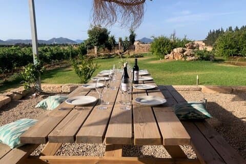 Guided tour of Butxet winery