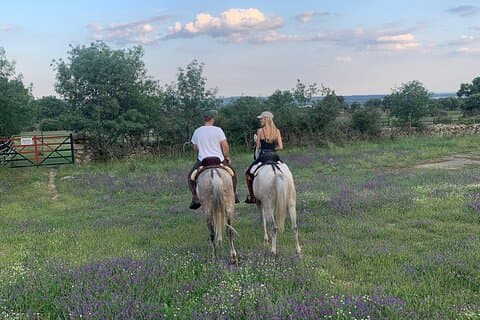 Horseback riding from Madrid