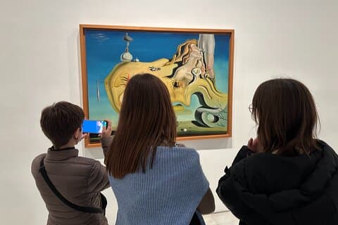 Madrid Reina Sofia Museum Private Tour for Kids and Families