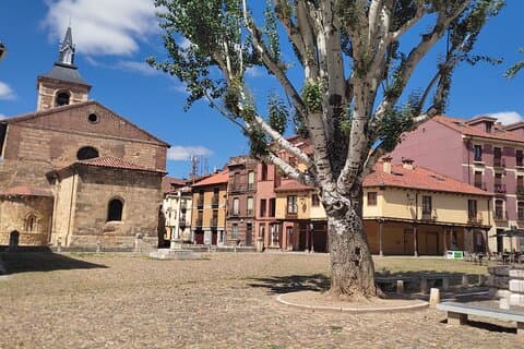 Guided tour of León