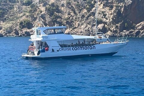 Paradise 4h Catamaran Tour of Mallorca and Puerto Andratx