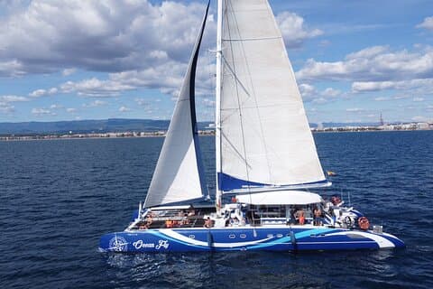 Catamaran cruise with drinks, food and swimming stop