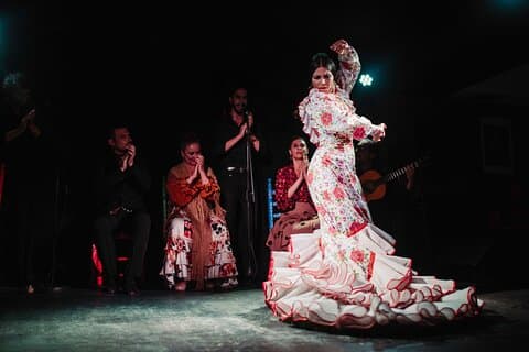 Authentic Flamenco Show with Tapas & Wine Guided Tour