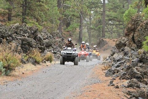 Forest Quad Trip in South Tenerife