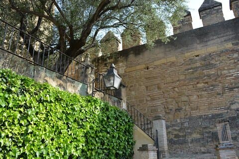 Córdoba Monumental Intensive Tour en Español Entradas incluidas