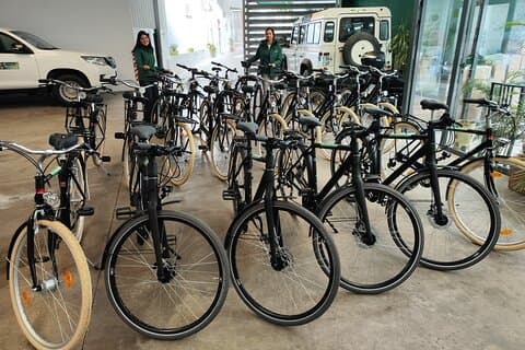 Bike rental in Seville city centre