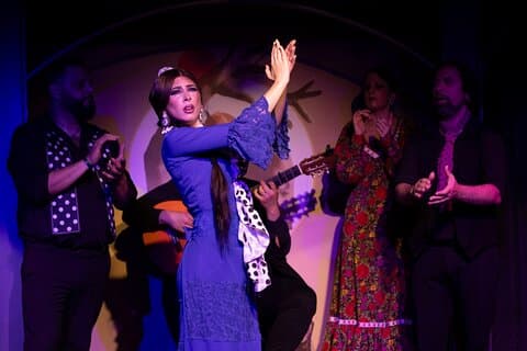 Flamenco Show El Duende
