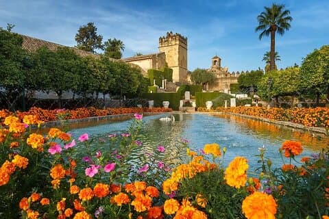 Seville Cathedral, Giralda & Alcázar Tour + eBook