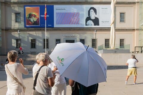 Culture Unveiled: Reina Sofía Guided Tour