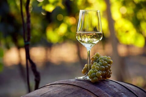 Family Winery of Three Generations (5 testings) Transfer included