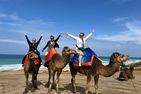 Vip Private Guided Tangier Tour From Malaga / Marbella or Tarifa