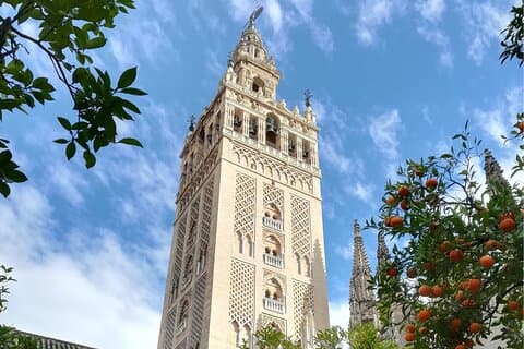 Be amazed at the result of the recent renovation of the cathedral and the Giralda tower, which offers spectacular views of the city