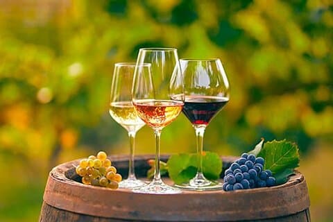 Alicante: Old Winery with Tastings & Arab Castle (XII cent)