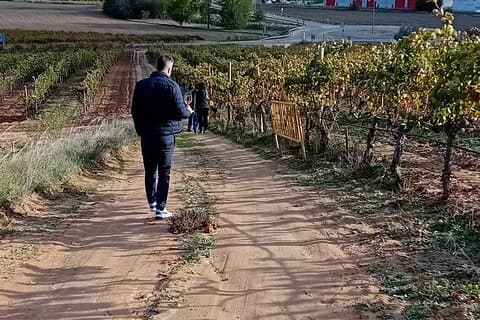 Ribera del Duero Wine Tour from Madrid with 2 Wineries & Tastings