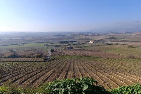 3 Day 2 Night Private Tour to Rioja From Madrid
