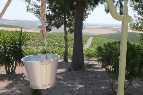 Cerro Obregón vineyard