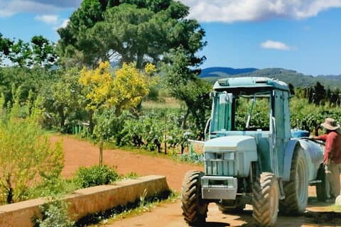 Private Ibiza Winetasting Tour
