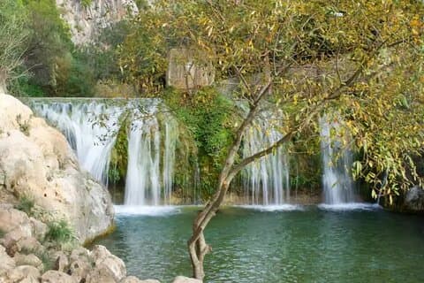 Fuentes del Algar