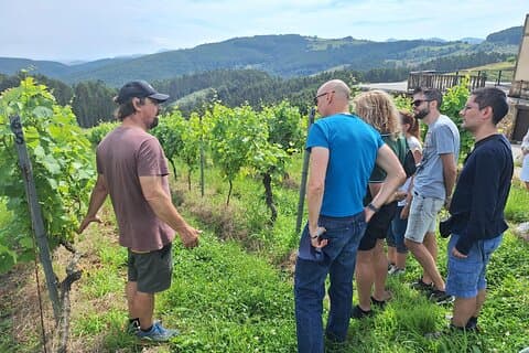 Private Gastronomy tour with tastings from Santander