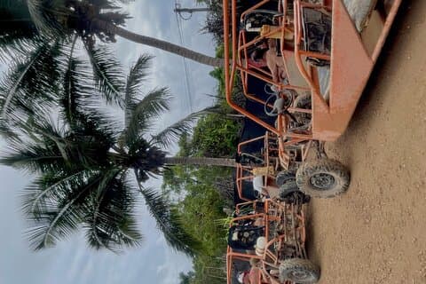 Extreme Tours in Buggies Punta Cana R.D