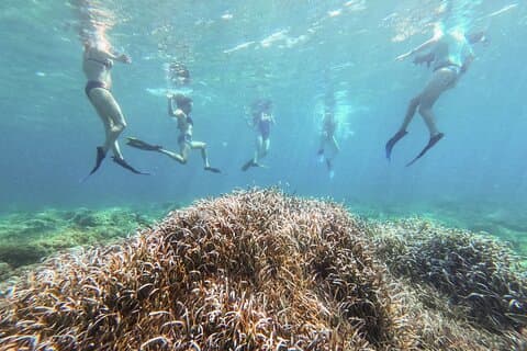 The Secret of the Posidonia-Kayak&Snorkel Tour Sant Elm
