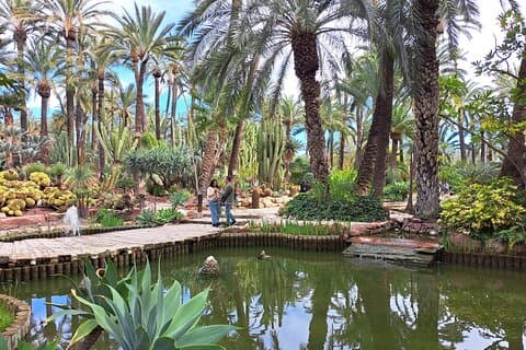 Huerto del Cura garden: more than 1000 species of plants