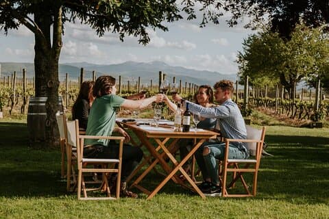Tasting next to the vineyards