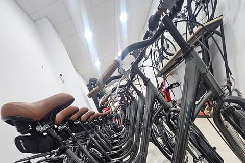 Bike Rentals in Malaga