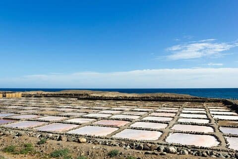 Gran Canaria flavours with distillery visit and tastings