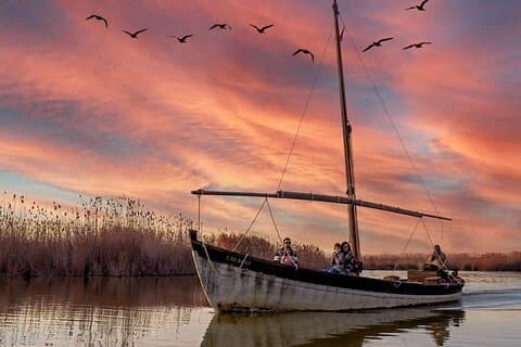 From Valencia: Albufera Natural Park with Sunset Boat Tour
