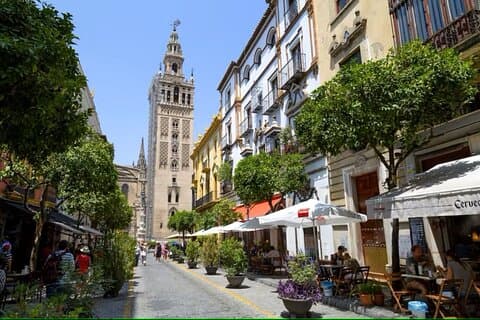 Seville Sightseeing Tour with Rooftop Bar Visit
