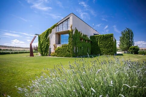 Oleotourism Navarre. Private tour and tasting Eco-friendly EVOO Artajo