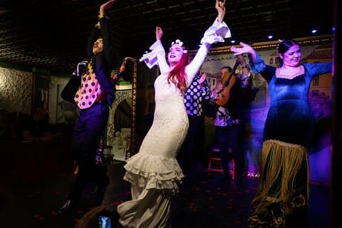Flamenco Show at Tablao Albayzín Granada