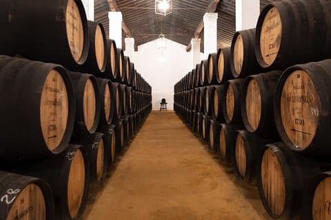 Guided Winery Tour with Wine Tastings in Jerez