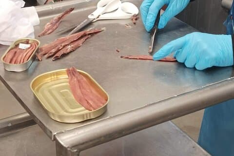 Anchovy filleting