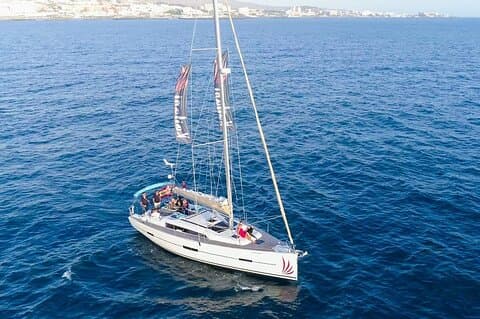Private Charter: Whale and Dolphin Watching (Max. 11 people)