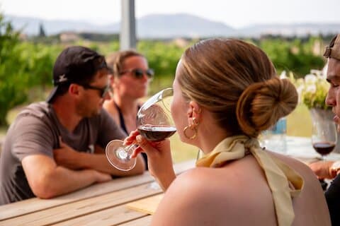 Alcudia Winecellar Tour with Vineyard Visit, Tasting of 5 Wines