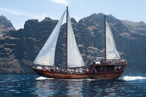 Tenerife : Whales and Dolphins with Food and Bath in Los Gigantes