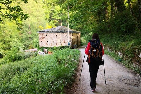 Camino de Santiago French From O Cebreiro to Santiago
