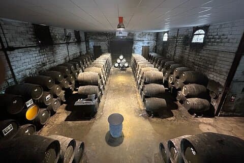 Winery Visit in Chiclana de la Frontera : Wine Tasting and Tapas