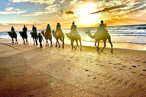 Tangier Camel Ride Adventure – An Iconic Morocco Experience