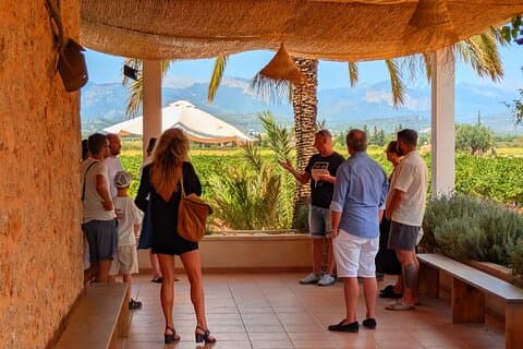 Mallorca Wine Tour Taste Local Wines in Santa Maria