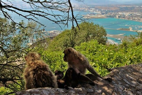 Gibraltar and Mijas Tour from Málaga full assistance