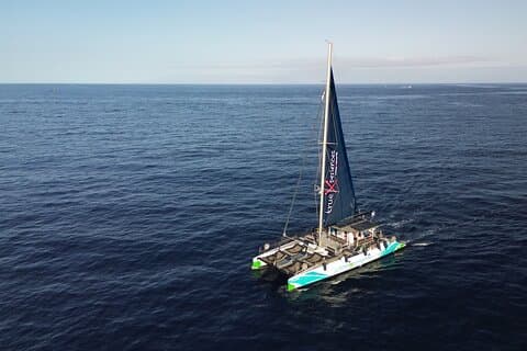 Watching and Listening Whales visiting Los Gigantes&Masca. Food&drinks included