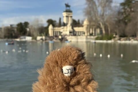 Soulful Madrid Private 3 Hour Walking Tour