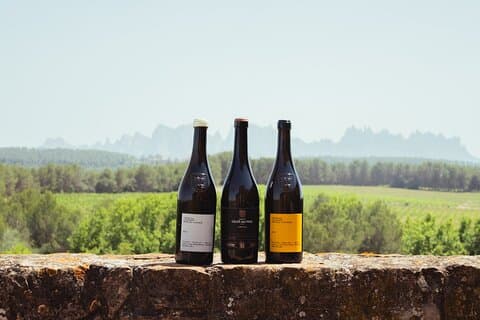 Montserrat & High end Oller del Mas wines